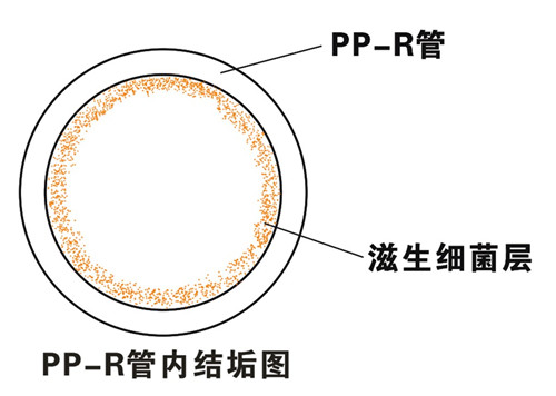 PP-R滲氧，易滋生細菌，有異味；腐蝕金屬連接件，降低使用壽命